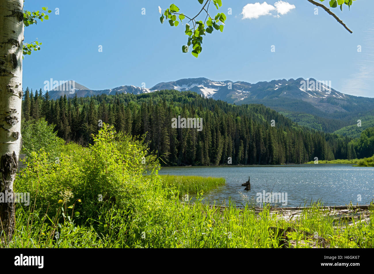 Wald See in Colorado-San-Juan-Gebirge Stockfoto