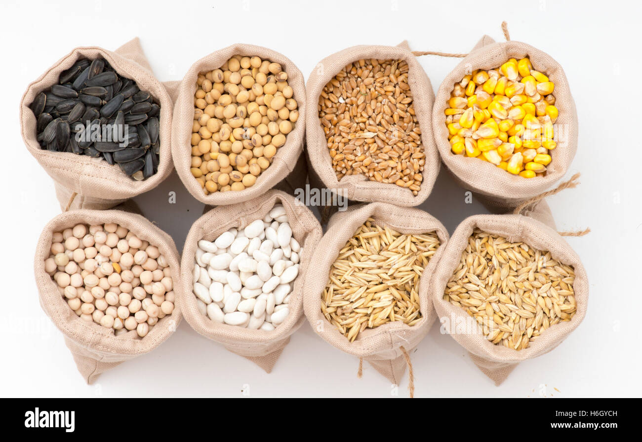 Beutel mit Getreide (Hafer, Gerste, Weizen, Mais, Bohnen, Erbsen, Soja, Sonnenblume) Stockfoto