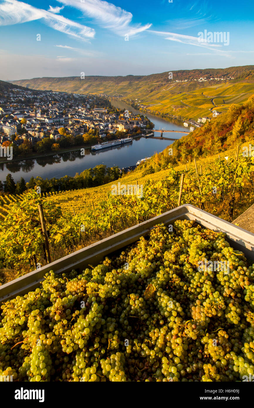 Die Stadt Bernkastel-Kues, in der Mosel Tal, Mosel, Altstadt, Wein Anbaugebiet, Weinberge, Deutschland Stockfoto