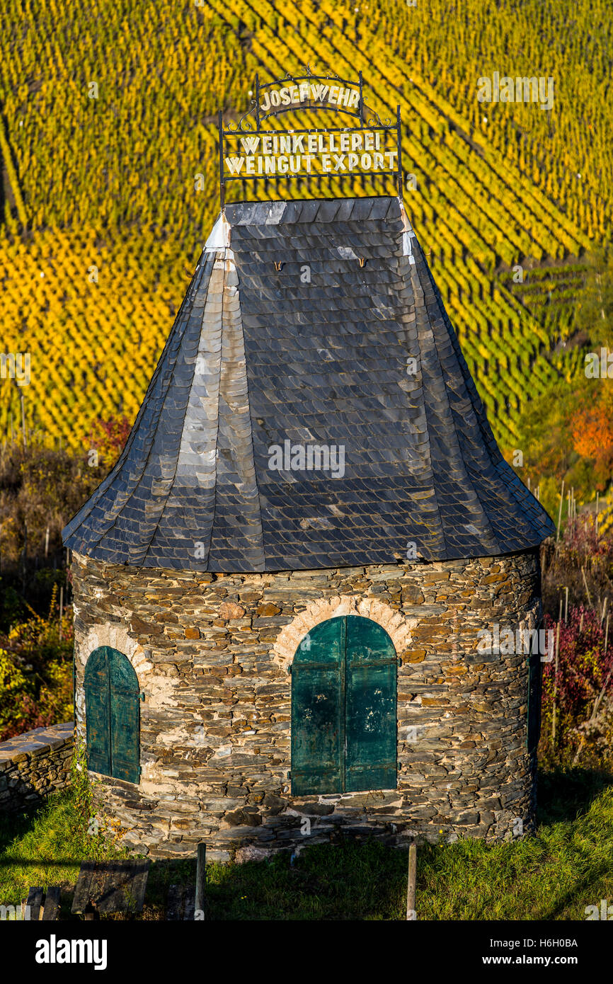 Mosel-Region, die Weinstadt Bernkastel-Kues, Deutschland, Weinberg oberhalb der Stadt, Weingut Josef Wehr Stockfoto