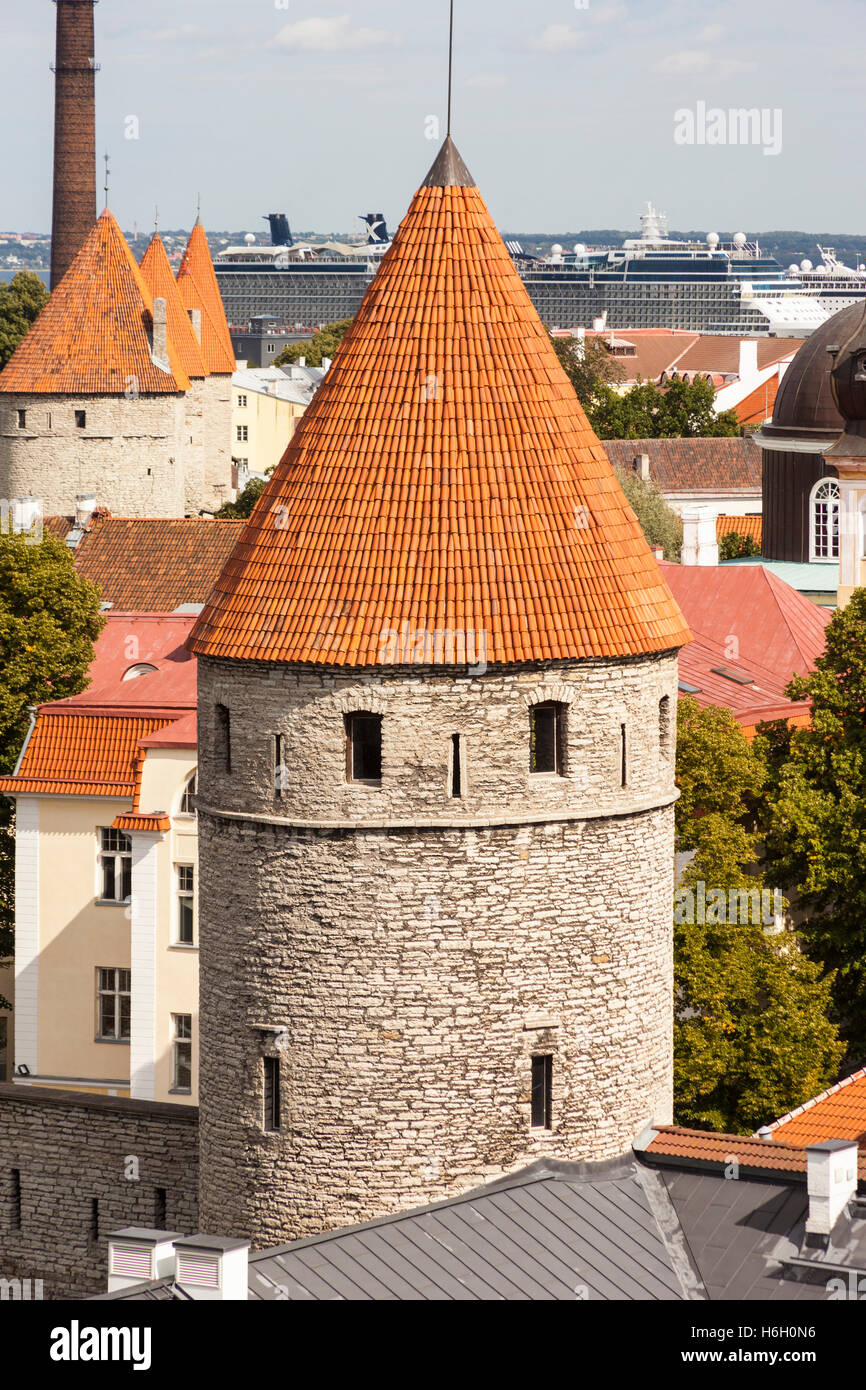 Blick auf einen Turm in der Altstadt von Patkuli anzeigen Plattform, Domberg, Tallinn, Estland Stockfoto