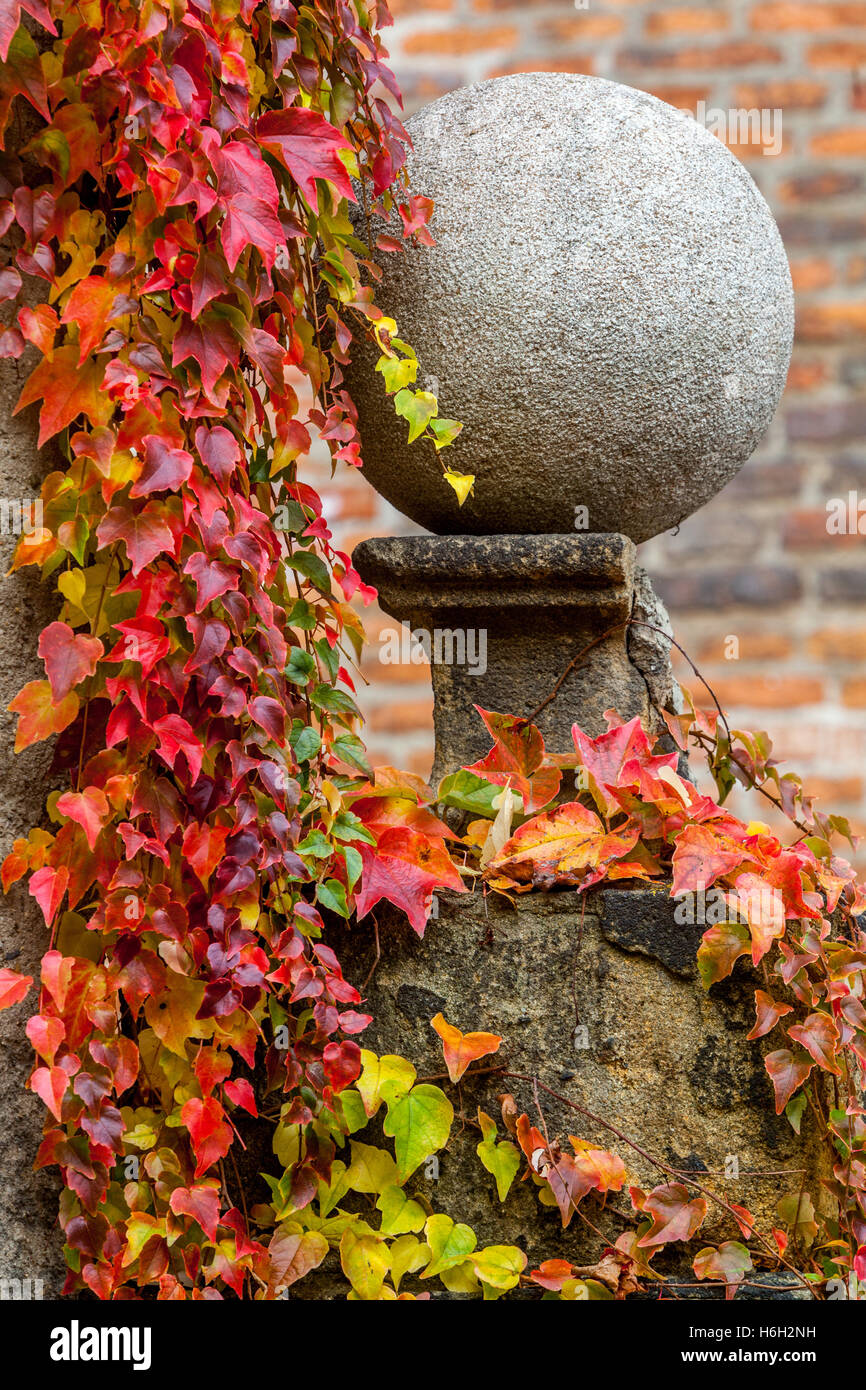 Prager Burg Herbststillleben, Prager Burggarten Prager Burg, Prag, Tschechische Republik Virginia Kriecher, Gärten, Blätter, rot, Kletterer Stockfoto