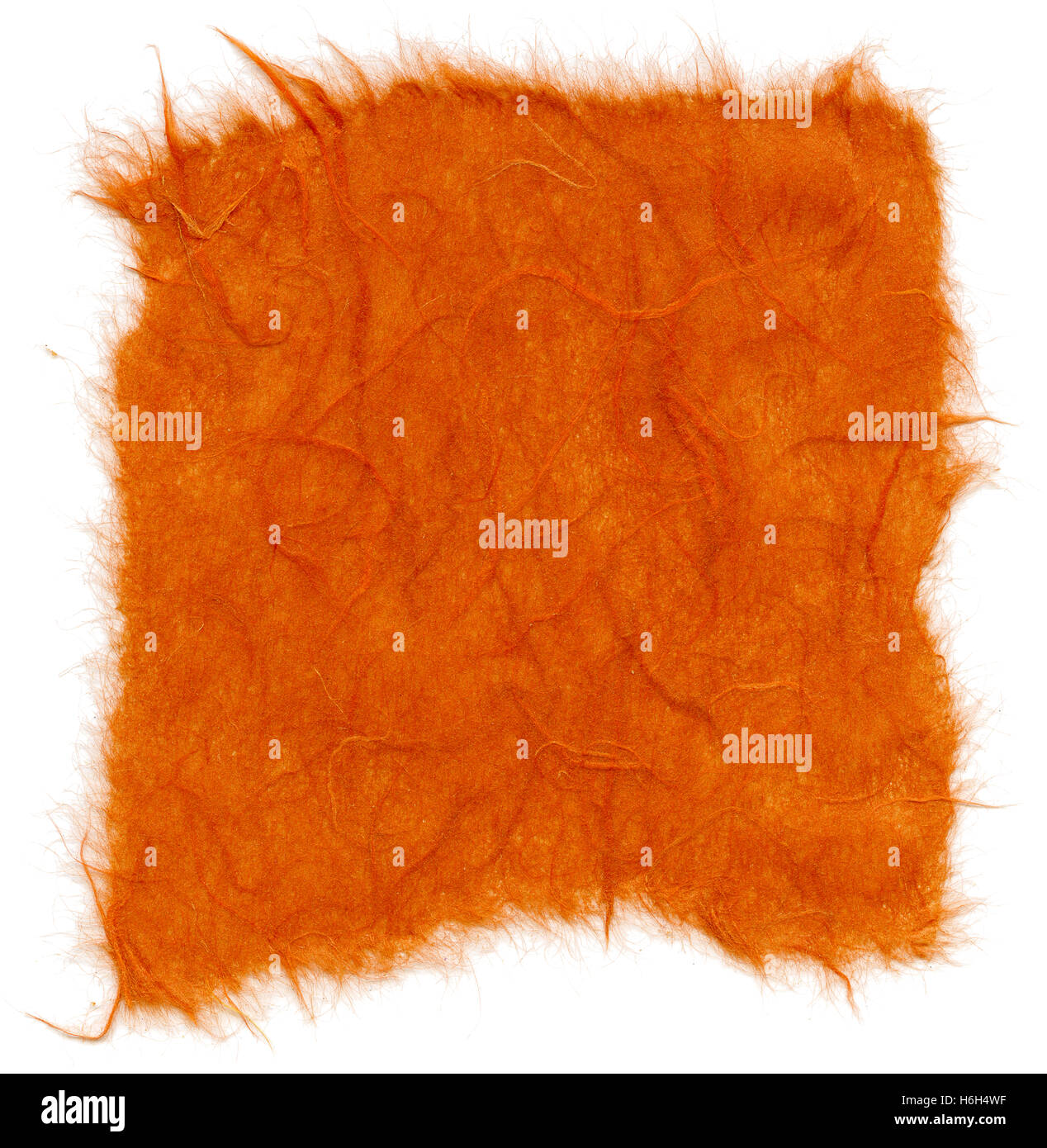 Textur des orange Reispapier mit zerrissenen Kanten. Isoliert auf weißem Hintergrund. Mit 2400dpi mit einem professionellen Scanner gescannt. Stockfoto