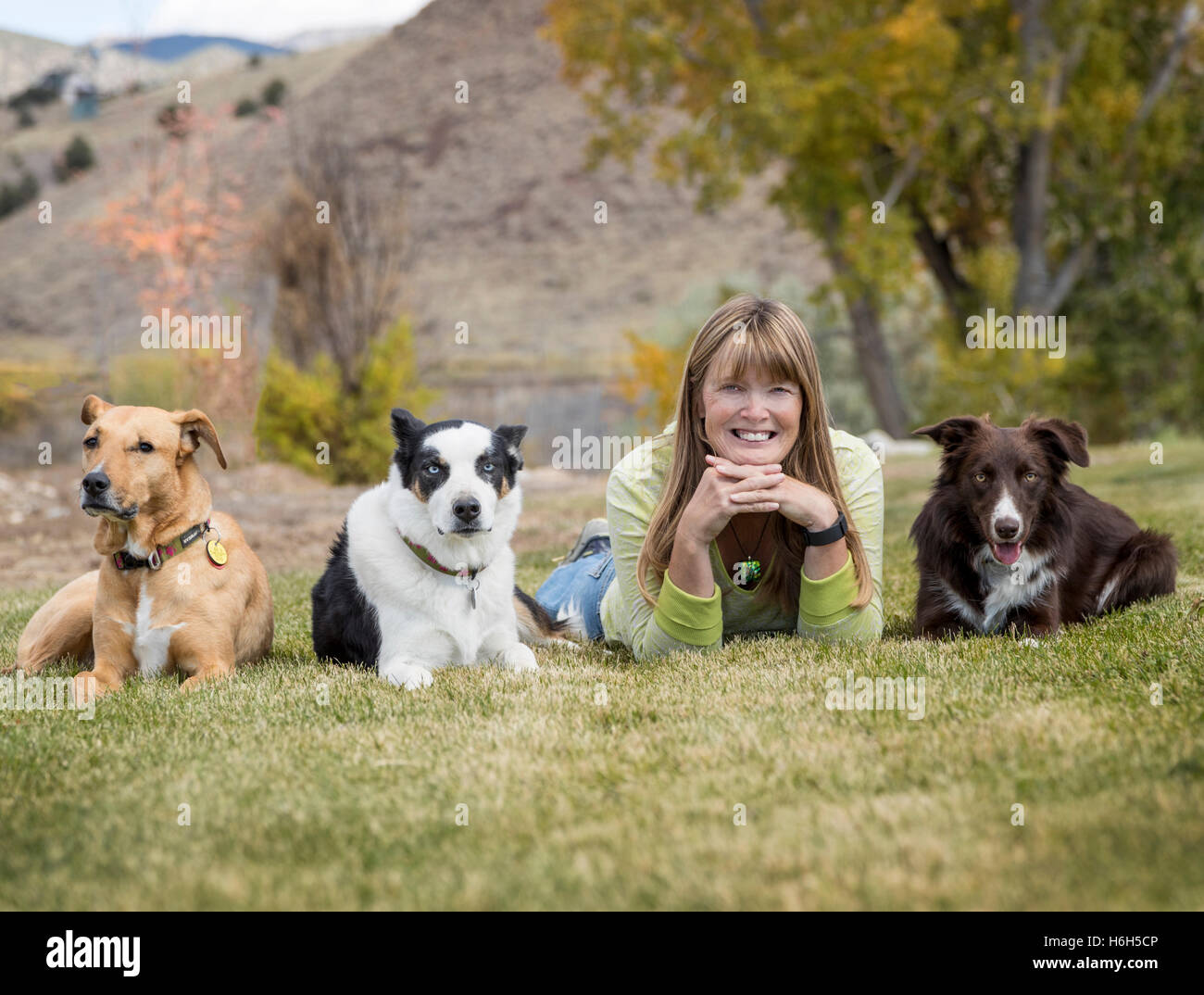 Outdoor Portrait attraktive Frau mit ihren drei Hunden auf einer Wiese Stockfoto