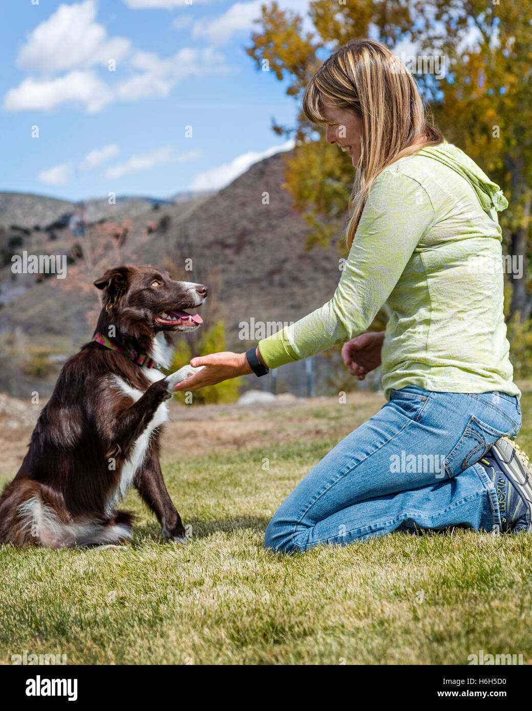 Attraktive Frau spielt mit ihrem Border-Collie Hund auf einer Wiese Stockfoto