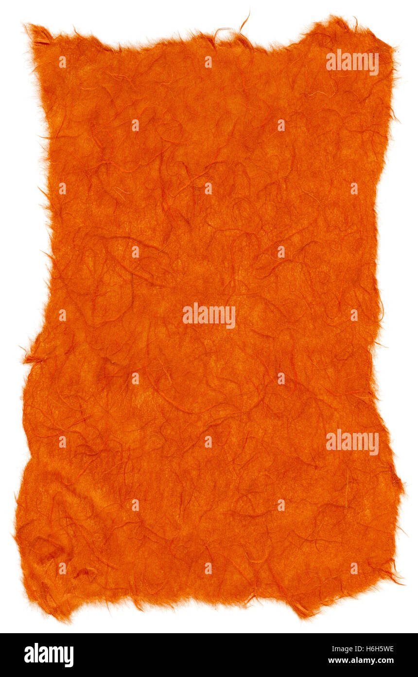 Textur des orange Reispapier mit zerrissenen Kanten. Isoliert auf weißem Hintergrund. Bei 1200dpi mit einem professionellen Scanner gescannt. Stockfoto