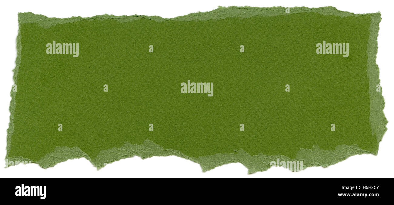 Textur des Dartmouth grüne Faserpapier mit zerrissenen Kanten. Isoliert auf weißem Hintergrund. Gescannt mit 1600dpi mit einer professionellen sc Stockfoto