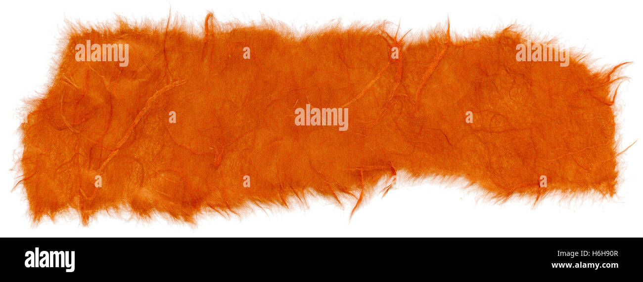 Textur des orange Reispapier mit zerrissenen Kanten. Isoliert auf weißem Hintergrund. Mit 1600dpi mit einem professionellen Scanner gescannt. Stockfoto