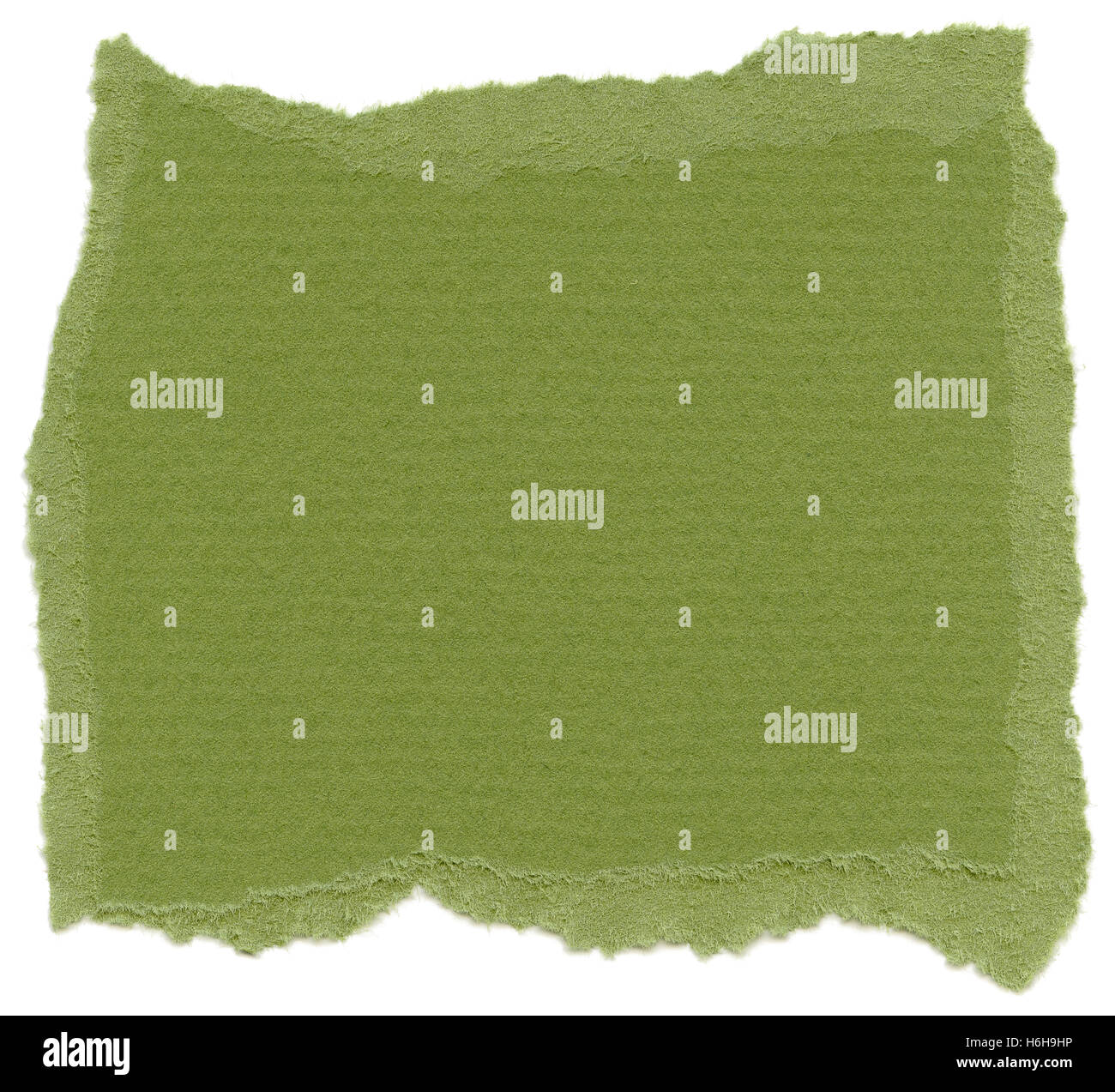 Textur des islamischen grünen Faserpapier mit zerrissenen Kanten. Isoliert auf weißem Hintergrund. Scannen mit 2400dpi mit einer professionellen scan Stockfoto