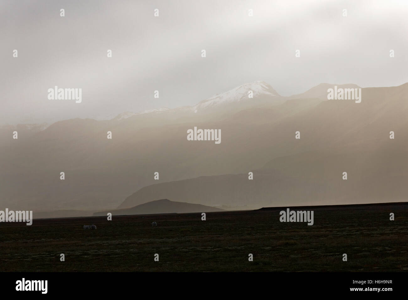 Berglandschaft bei leichtem Regen, Süd-West Island, Nordatlantik, Europa Stockfoto