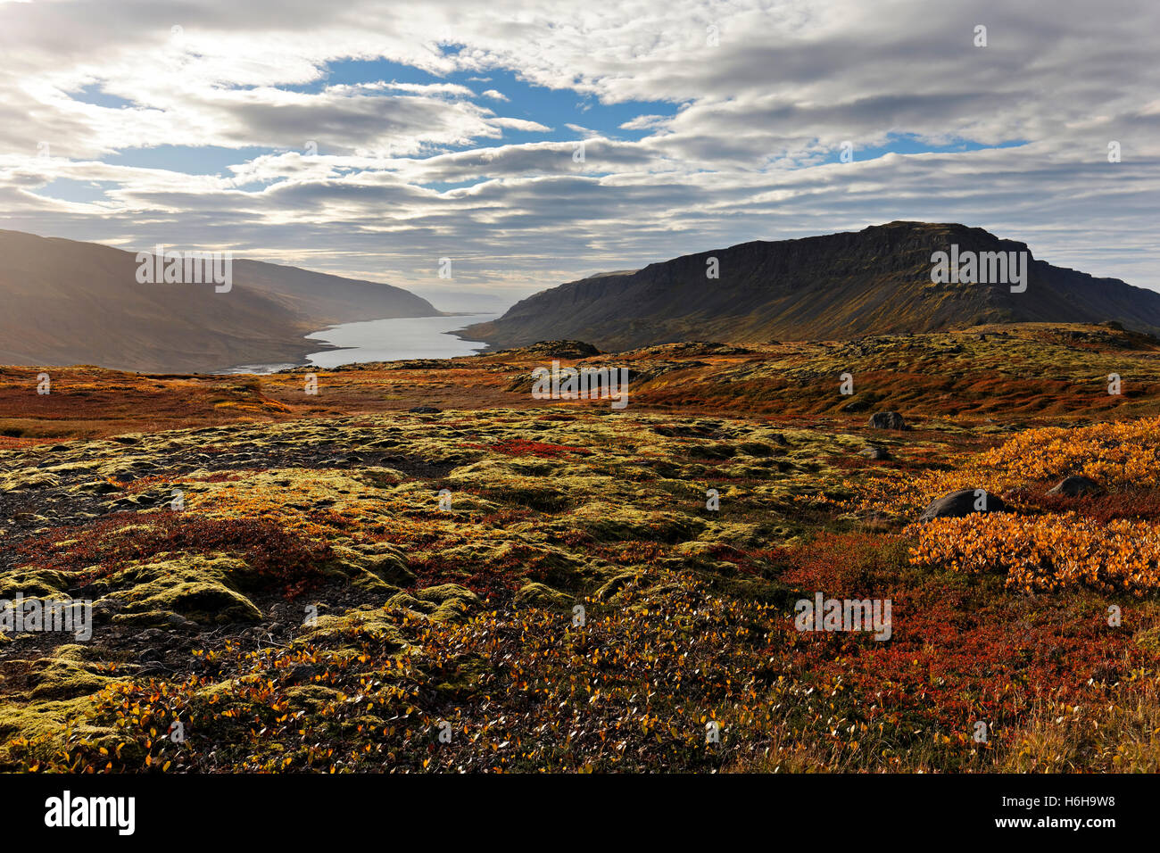 Fjord-Landschaft, Westfjorde, Island, Nordatlantik, Europa Stockfoto