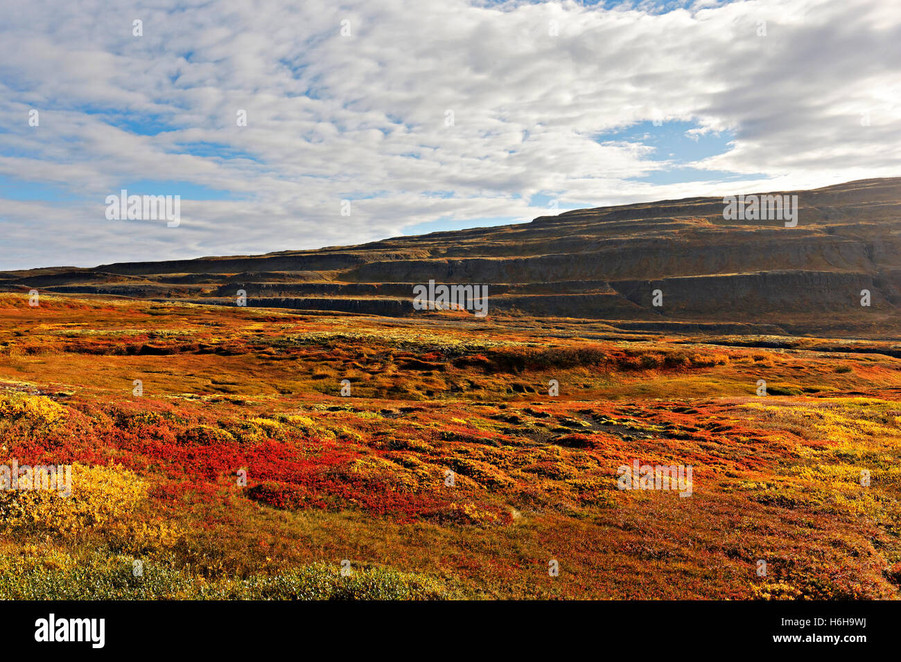 Herbstliche Landschaft, Westfjorde, Island, Nordatlantik, Europa Stockfoto