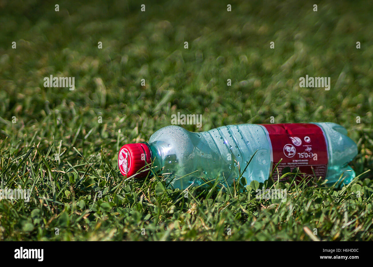 Kunststoff-Flasche auf dem Rasen Stockfoto