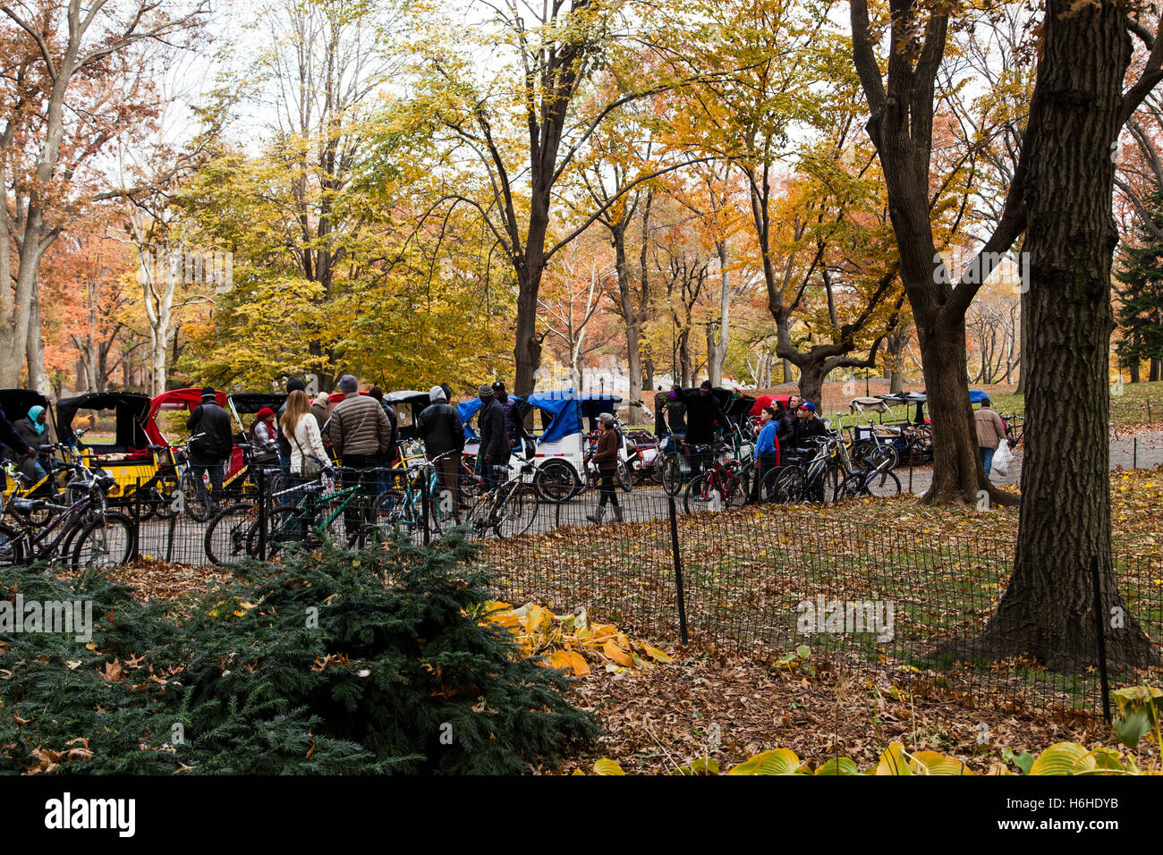 New York, USA-NOV 19: Biciycle Rikschas und Fahrradrikschas warten auf Kunden im Central Park am 19. November 2012 in New York, Stockfoto