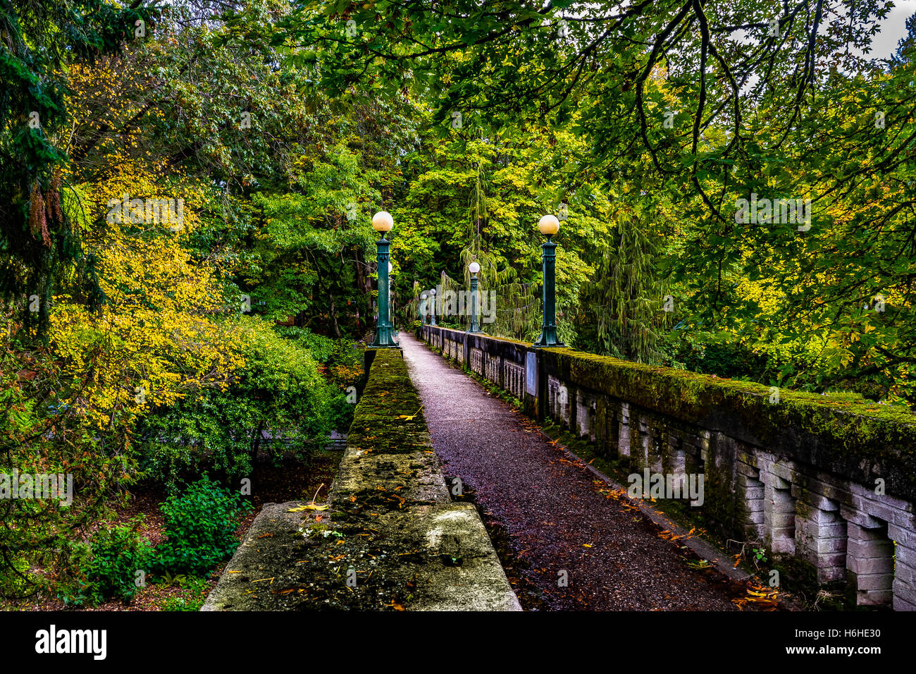 Walking Bridge - Seattle Arboretum - US-Bundesstaat Washington Stockfoto