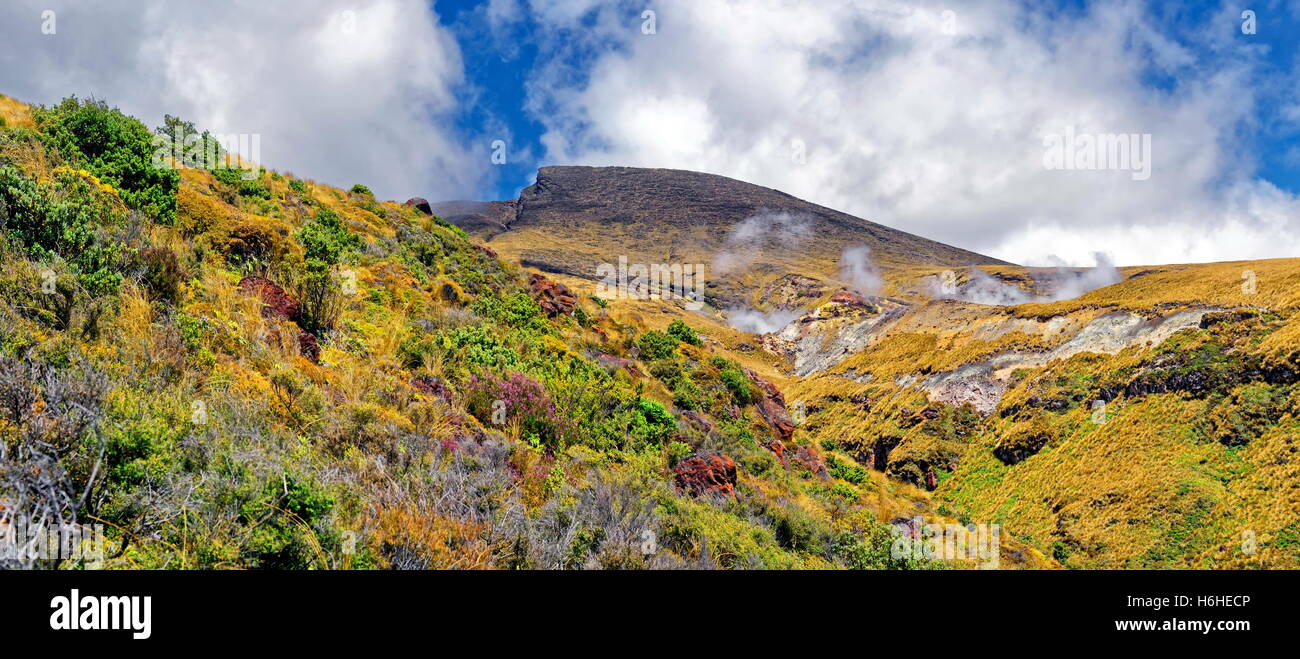 Rauch und Dampf Plume Ketetahi Springs an vulkanisch aktives Nordflanke des Mount Tongariro, Tongariro-Nationalpark Stockfoto