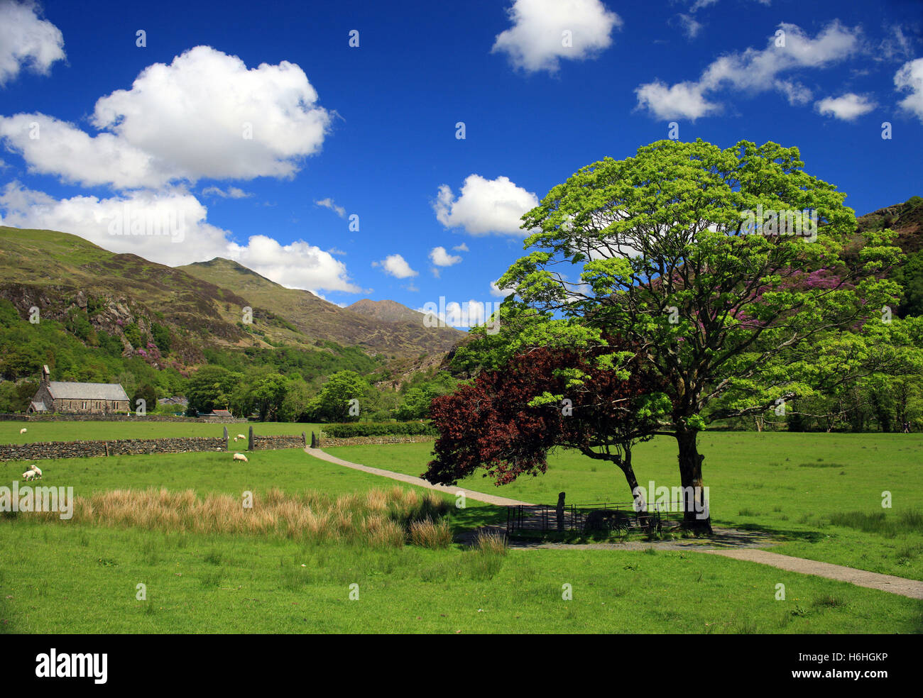 Die Einstellung für das Grab des legendären Hound Gelert in einer ruhigen Umgebung in Beddgelert Snowdonia North Wales UK Stockfoto