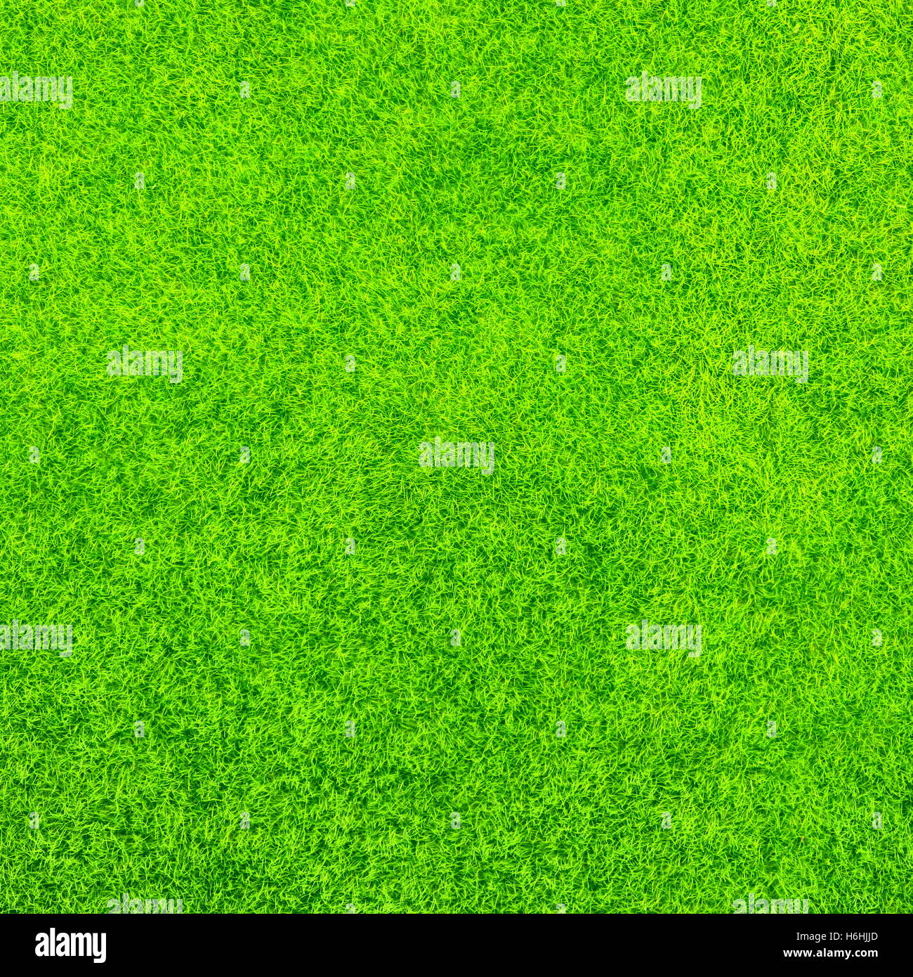 Grüne Gras Hintergrund Textur, outdoor Texturierte leeres Pattern Stockfoto