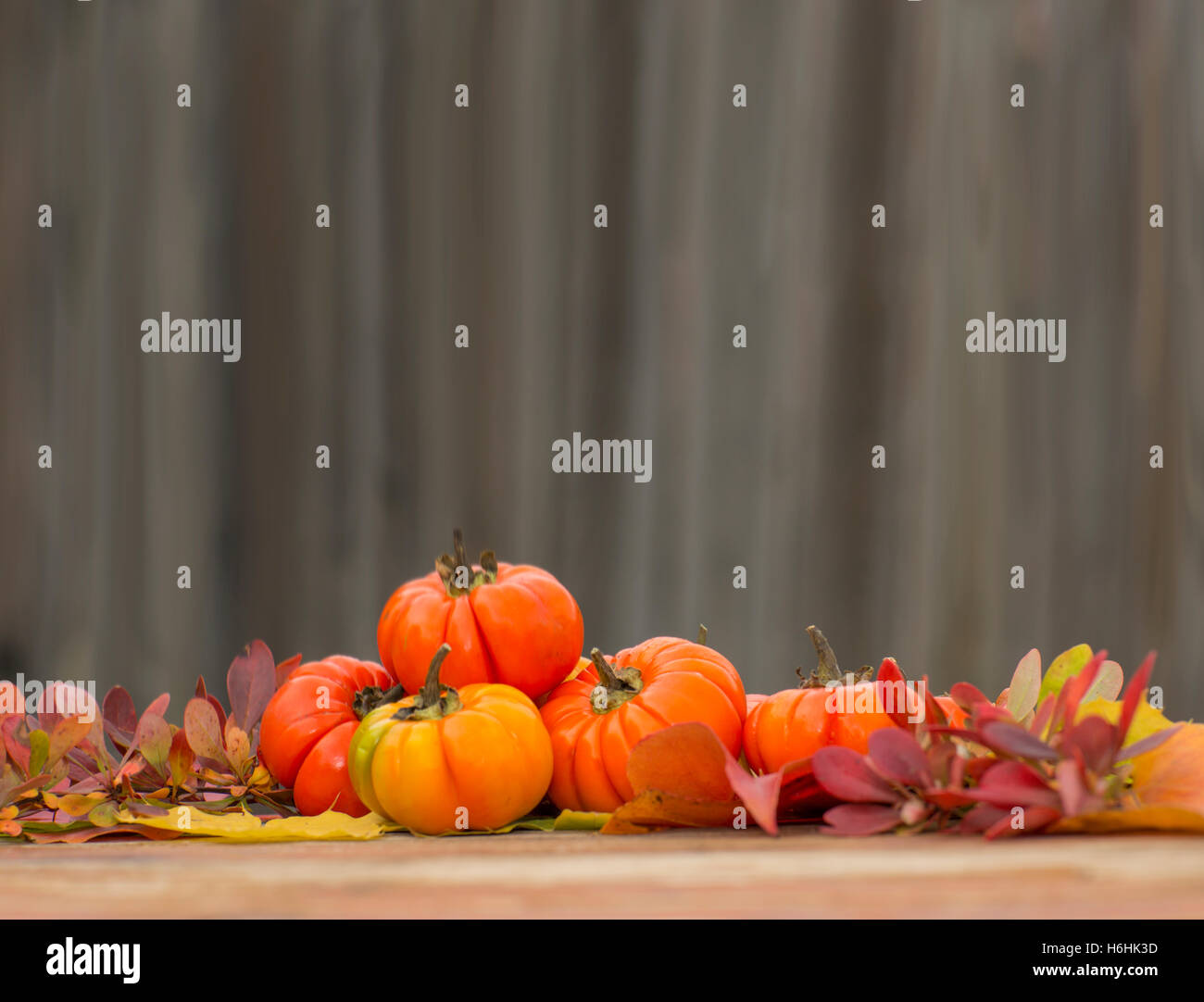 Eine saisonale Herbst-Kulisse Stockfoto