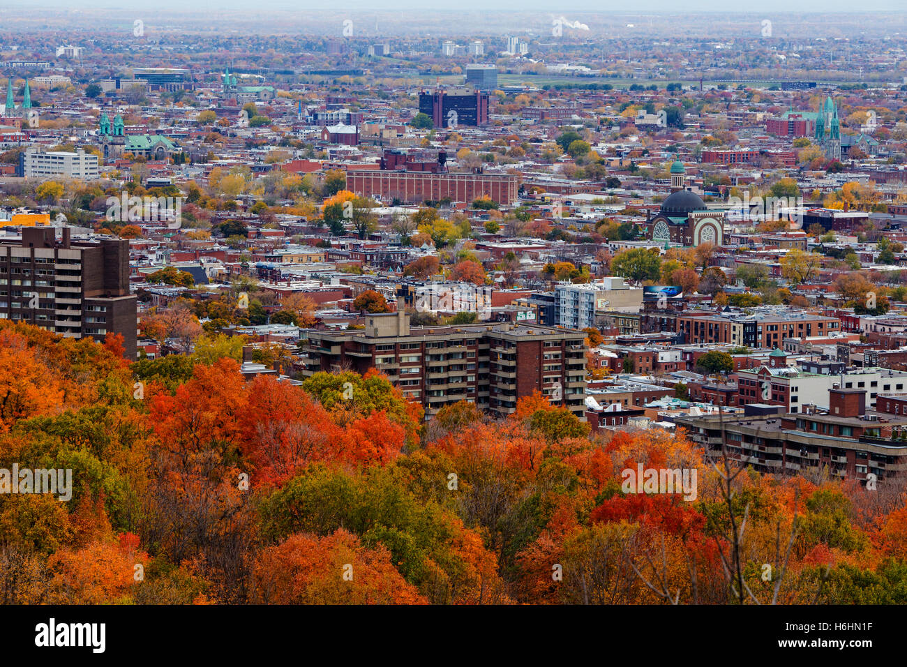 Montreal downtown im Herbst Stockfoto