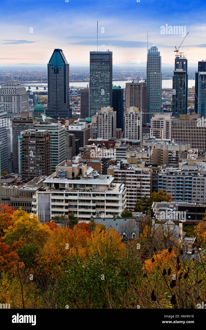 Montreal downtown im Herbst Stockfoto