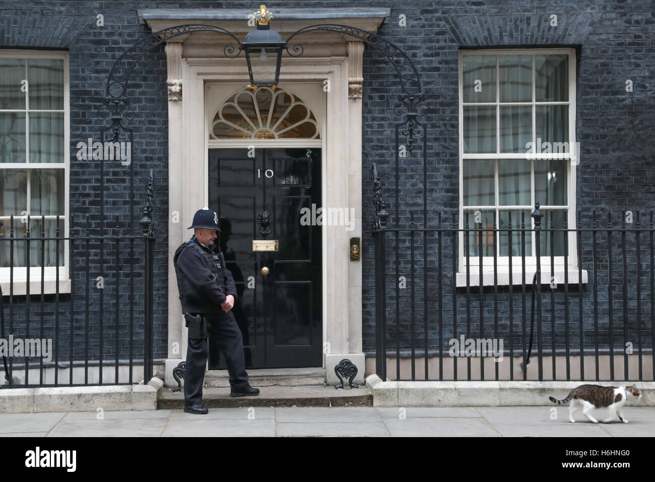 London, UK geht 29. Oktober 2016 Polizei Mann als Larry Downing Street Katze blickt auf vorbei an Zahl 10 Downing Street. Stockfoto