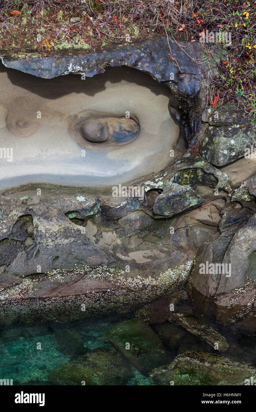 Abstrakte erodierte Sandsteinformationen in einer Gezeiten-Bucht auf Galiano Island Stockfoto