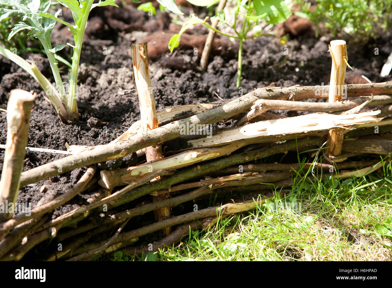 rustikale gewebte Blumenbeet Rand Stockfoto