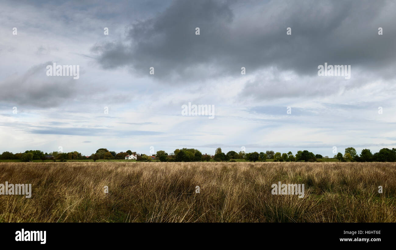 Blick Richtung Ufer des River Hull und Umgebung von Wollgras und Bäumen mit Bauernhaus am bewölkten Morgen. Stockfoto