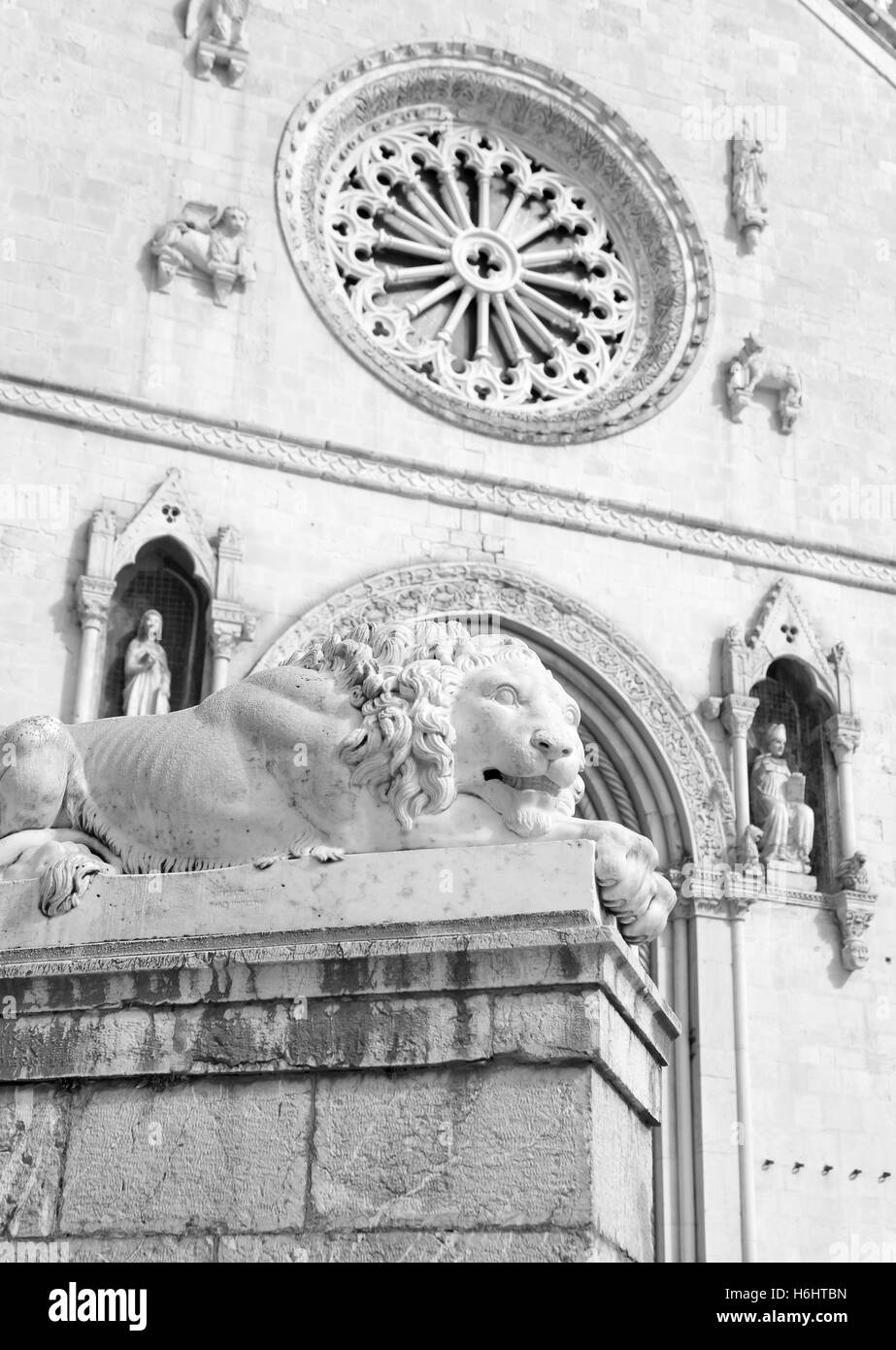 Norcia Kathedrale von San Benedetto, Löwe-Detail Stockfoto