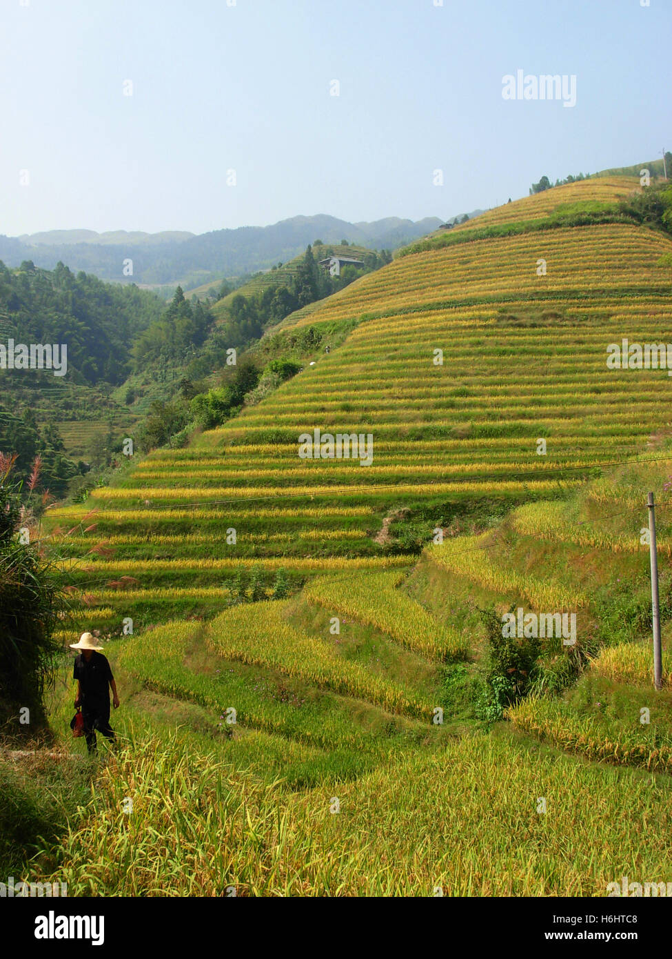 Hügel mit Reisterrassen in Dazhai traditionelles Dorf, Guilin, Provinz Guangxi, China Stockfoto