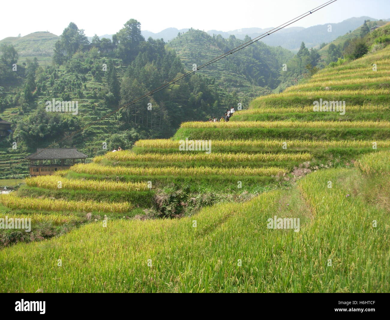 Reis-Terrassen in Dazhai traditionelles Dorf, Guilin, Provinz Guangxi, China Stockfoto