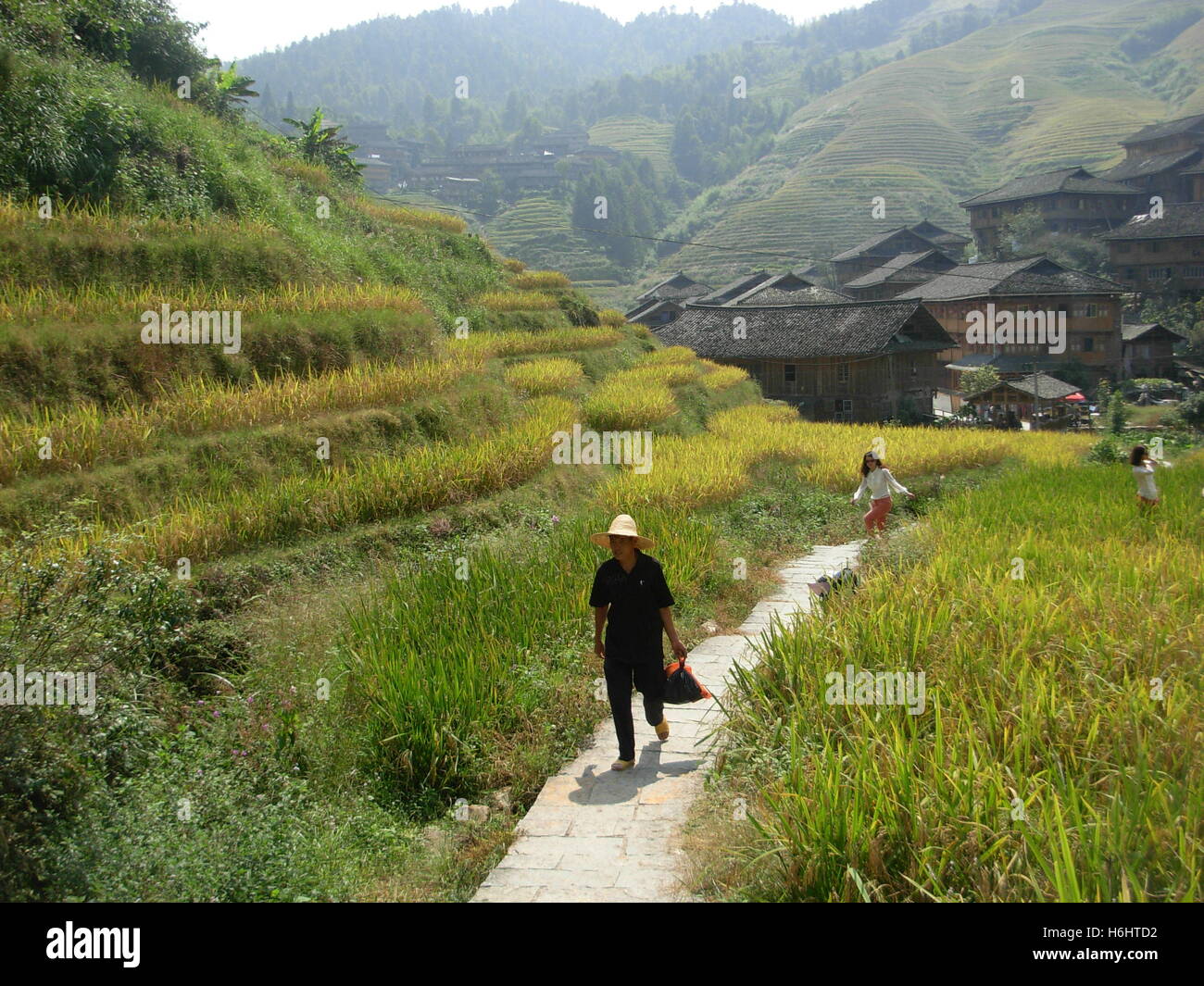 Holzhäuser und Reisterrassen in Dazhai traditionelles Dorf, Guilin, Provinz Guangxi, China Stockfoto