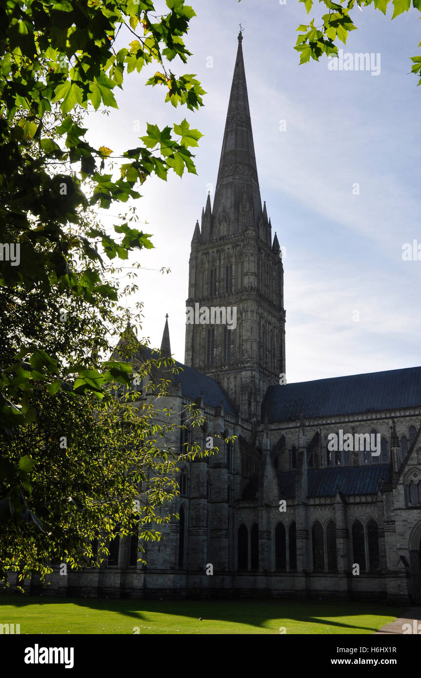 Wiltshire - Kathedrale von Salisbury - gegen das Licht - dramatische Silhouette - umrahmt von halb beleuchteten Bäume im Sommer Blatt - trübe Himmel Stockfoto
