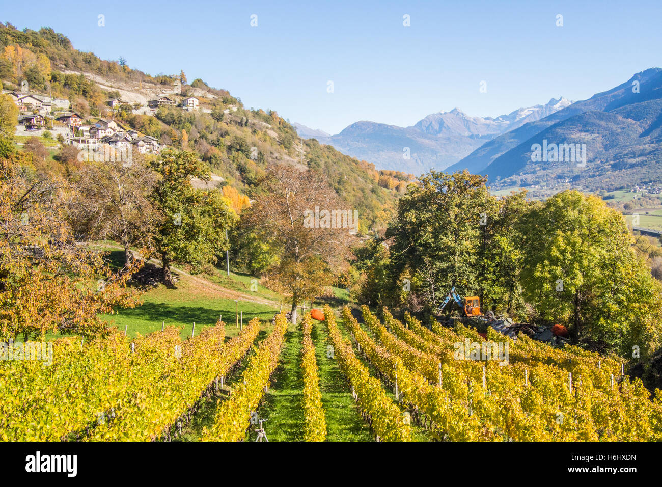 Herbstlandschaft im Aostatal, Blick vom Bio-Weinberg Les Granges bei Nus und Fenis, Italien. Stockfoto