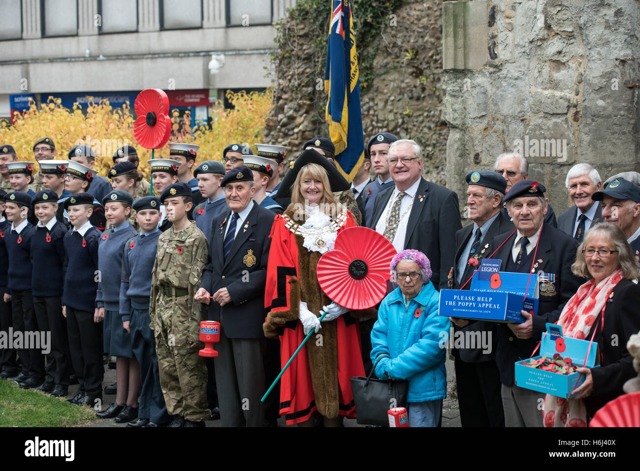 Brentwood, Essex, 29. Oktober 2016 starten der Mohn Beschwerde, Brentwood, Essex Credit: Ian Davidson/Alamy Live News Stockfoto