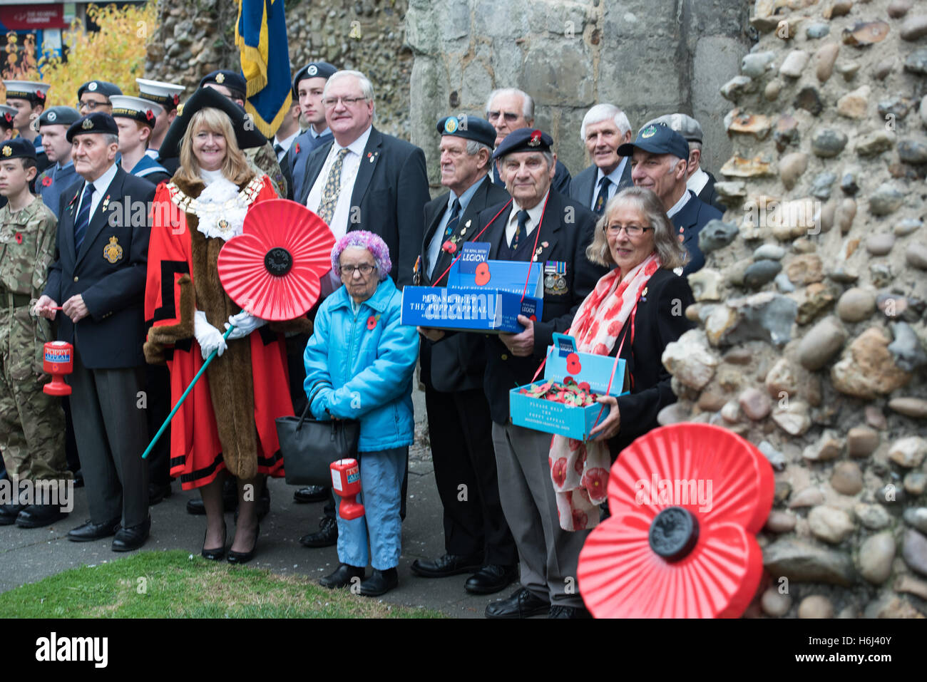 Brentwood, Essex, 29. Oktober 2016 starten der Mohn Beschwerde, Brentwood, Essex Credit: Ian Davidson/Alamy Live News Stockfoto