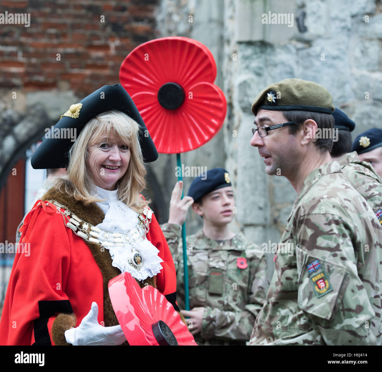 Brentwood, Essex, 29. Oktober 2016 starten der Mohn Beschwerde, Brentwood, Essex Credit: Ian Davidson/Alamy Live News Stockfoto