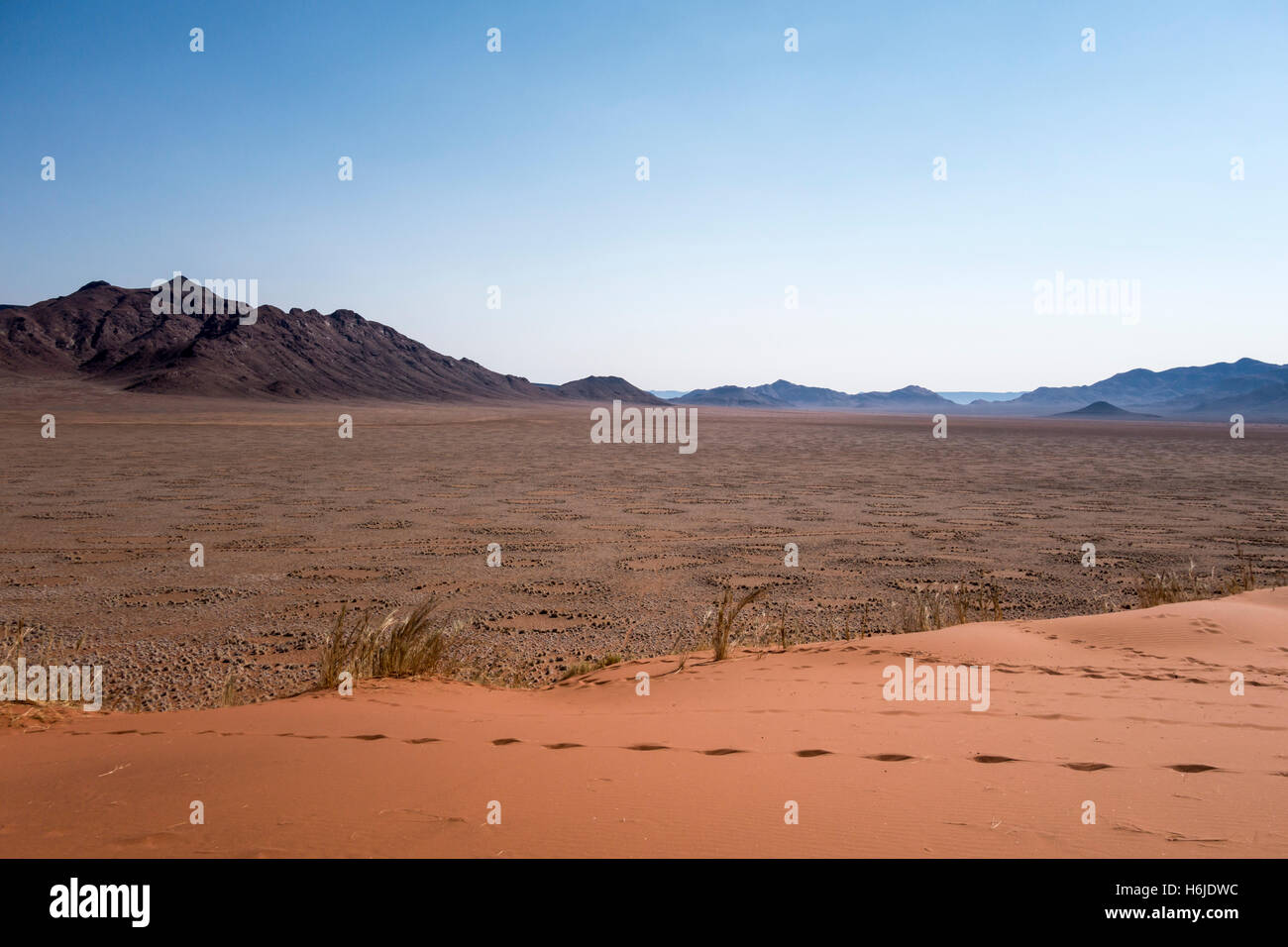 Namib-Naukluft-Nationalpark, Namibia Stockfoto