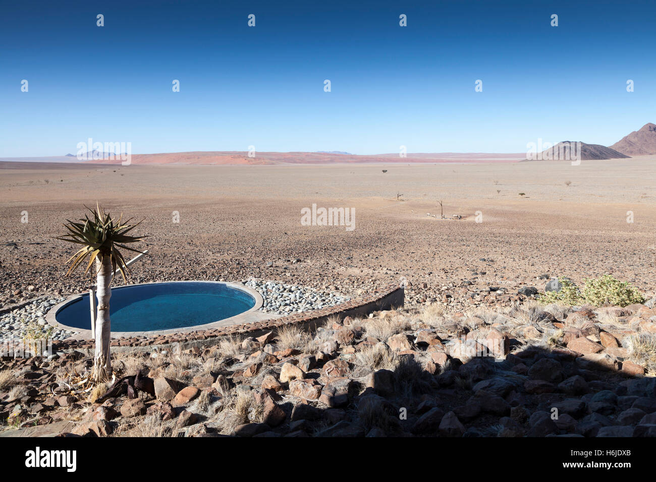 Blick über den Pool in der Sossusvlei Desert Lodge, Namib-Wüste bei Sossusvlei, Namibia Stockfoto