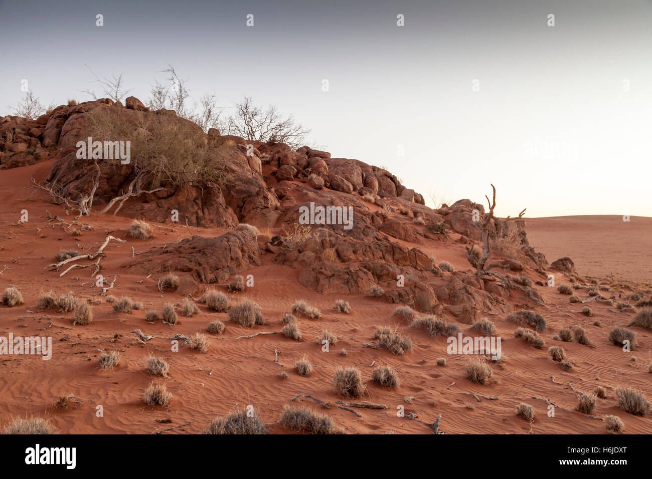 Am späten Nachmittag in der Namib-Wüste bei Sossusvlei, Namibia Stockfoto