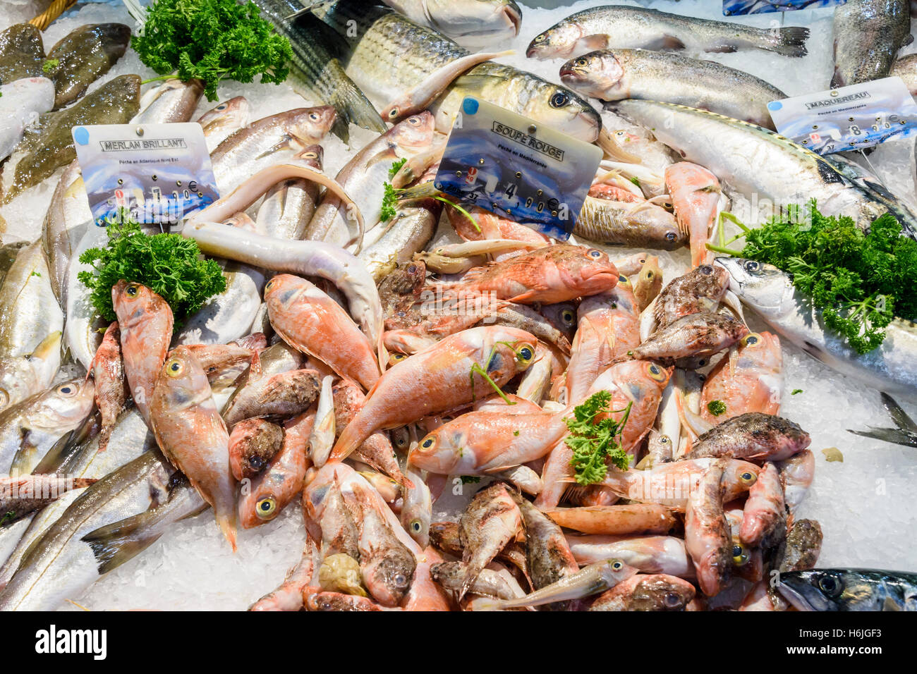 Frischer Fisch stall Detail im traditionellen Lebensmittelmarkt von Les Halles, Place Pie, Avignon, Frankreich Stockfoto