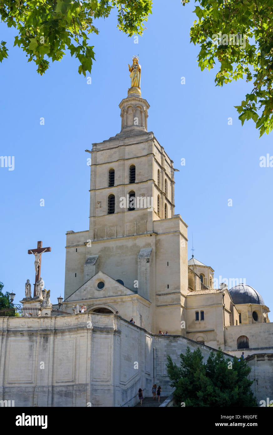 Baum gerahmt Marienstatue auf dem Glockenturm der Kathedrale römisch-katholisch Avignon, Avignon, Frankreich Stockfoto