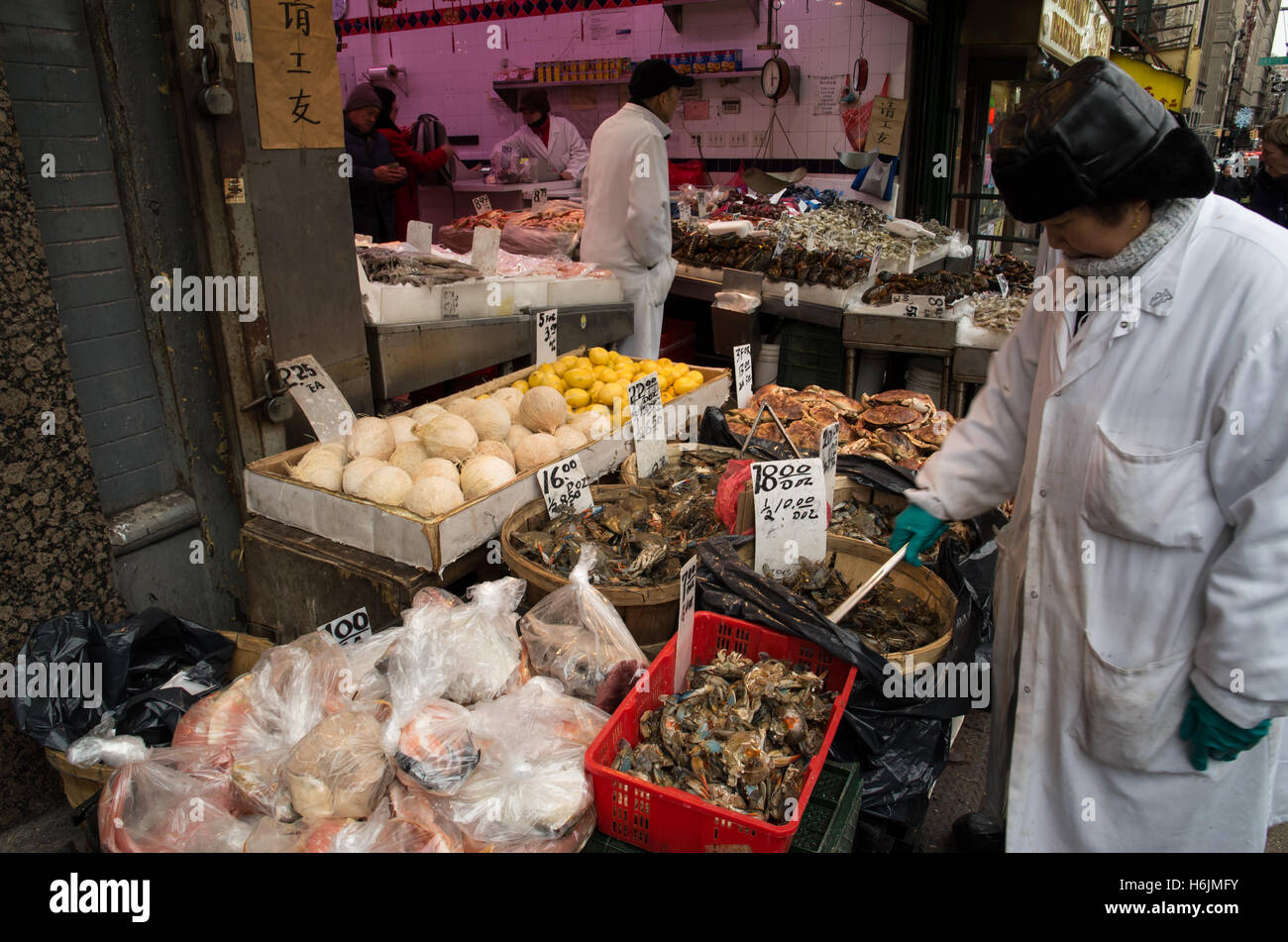 Frau unter ständigem Rühren einen Eimer mit Krabben in einer chinesischen Fischhändler in Chinatown, New York Stockfoto