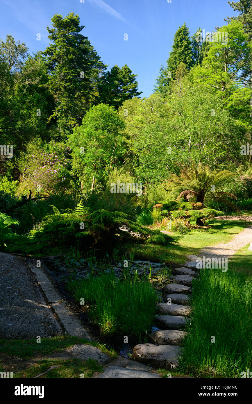 Gärten Ilnacullin Garinish garnieren Island Garten Annan Bryce Harold Peto OPW Bearea Halbinsel RM Irland Stockfoto
