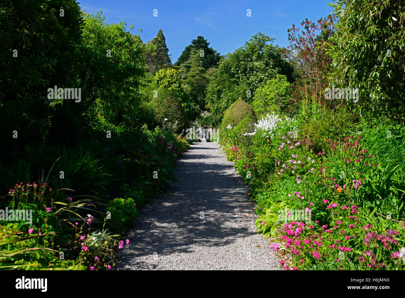Gärten der Ilnacullin Garinish garnieren krautige Grenze Inselgarten Annan Bryce Harold Peto OPW Bearea Halbinsel RM Irland Stockfoto