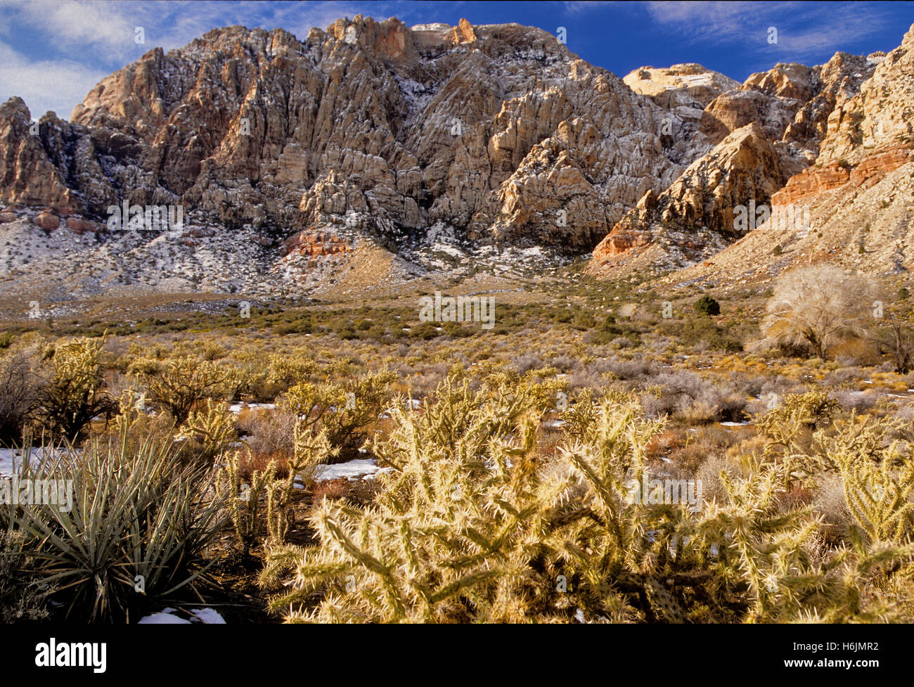 Spring Mountains Las Vegas Stockfoto
