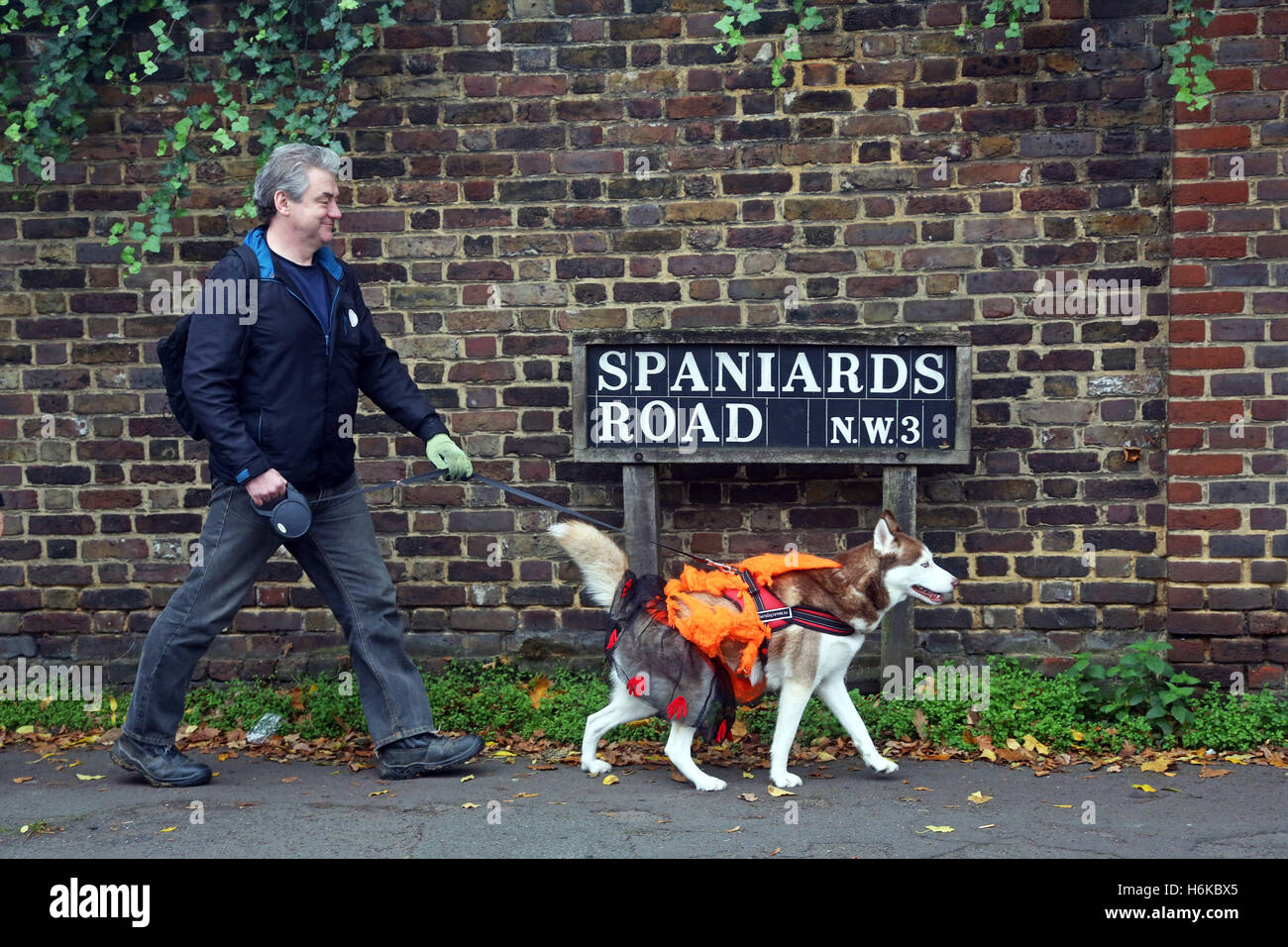 London, UK. 30. Oktober 2016. Hunde in Halloween Kostüm für den alle Hunde Angelegenheit Halloween Dog Walk, Gelder für die Nächstenliebe welche Häuser und Wohnungen neu Hunde in London Kostüme gekleidet. Bildnachweis: Paul Brown/Alamy Live-Nachrichten Stockfoto