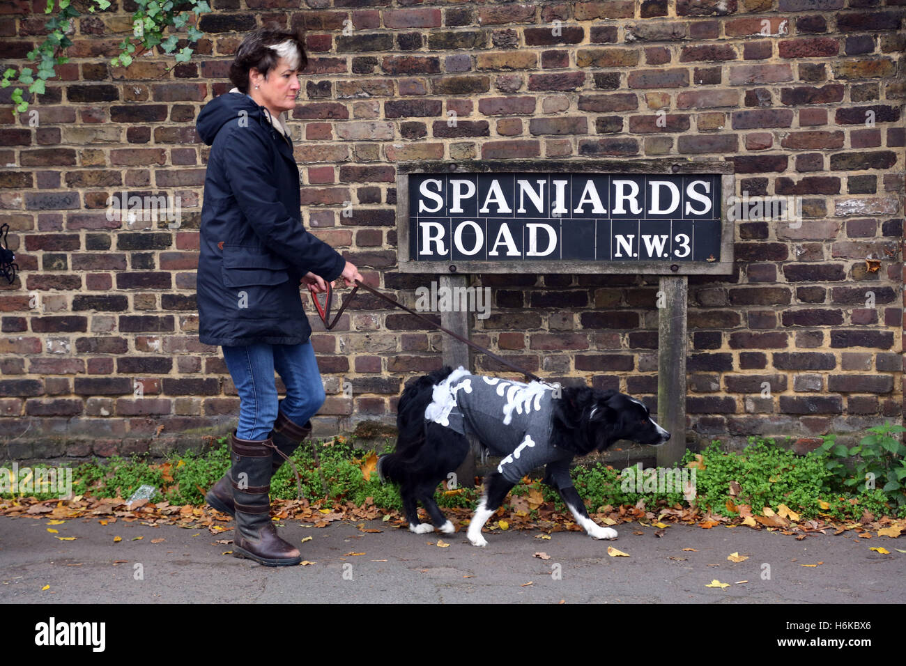 London, UK. 30. Oktober 2016. Hunde in Halloween Kostüm für den alle Hunde Angelegenheit Halloween Dog Walk, Gelder für die Nächstenliebe welche Häuser und Wohnungen neu Hunde in London Kostüme gekleidet. Bildnachweis: Paul Brown/Alamy Live-Nachrichten Stockfoto