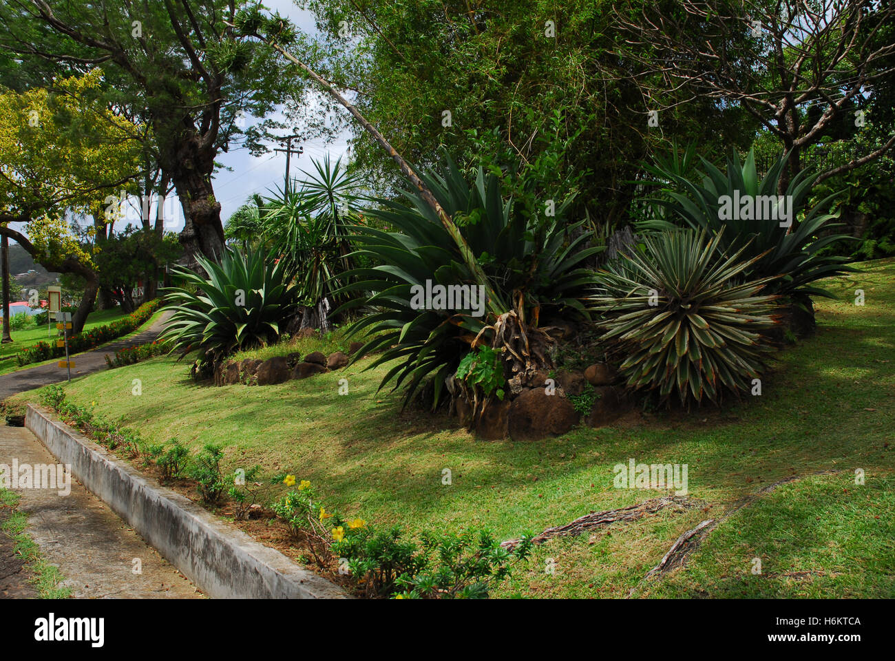 Karibik, St. Vincent und die Grenadinen, St. Vincent, Kingstown Stockfoto